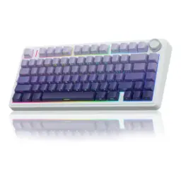 Aula F75 Purple