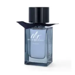 Burberry Mr. Burberry Indigo 100ml