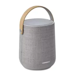 Harman Kardon Citation 200 Winter Gray