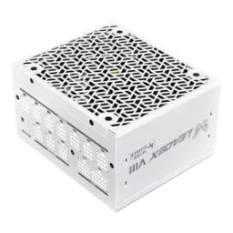 Super Flower Leadex VIII Platinum PRO