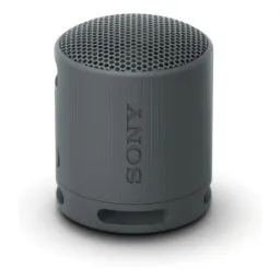 sony-srs-xb100