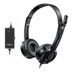 Rapoo H120