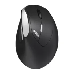 Rapoo EV250