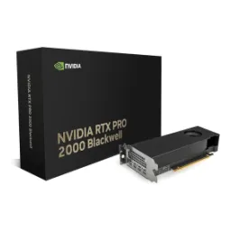 pny-rtx-pro-2000-blackwell