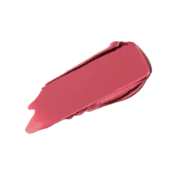 MAC MACximal Matte Silky Lipstick You Wouldn't Get It 3.5g