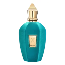 xerjoff-erba-pura-100ml