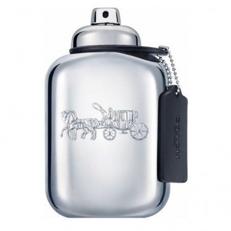 coach-new-york-platinum