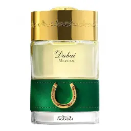 The Spirit of Dubai Meydan
